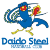 Daido Steel
