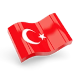 Neslihan Arin